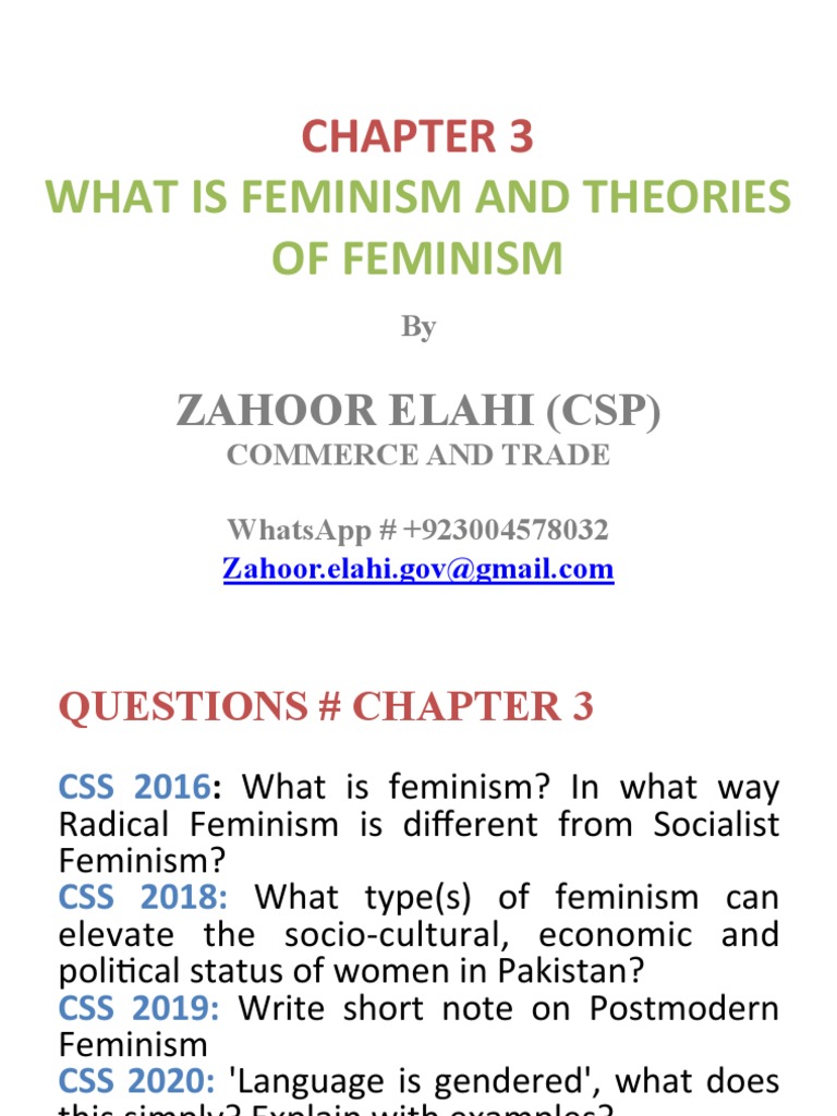 Overview of Feminism Theories | PDF | Feminism | Gender Studies
