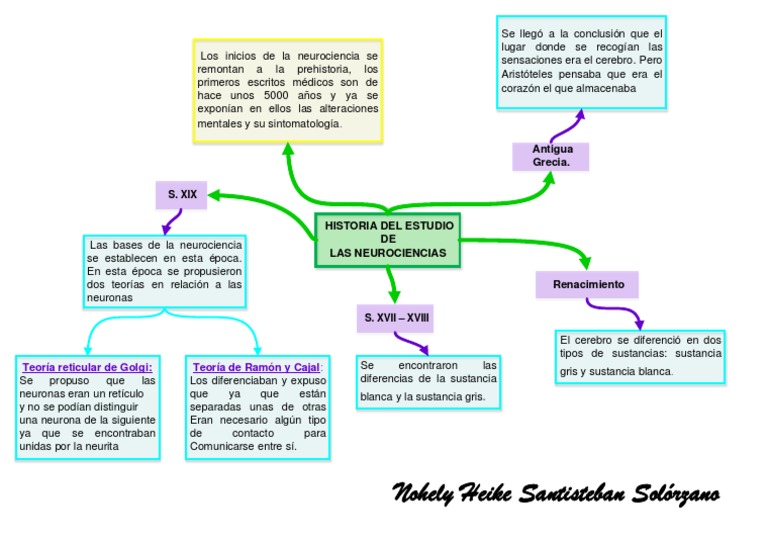 Historia de la Neurociencia y sus Bases | PDF | Neurociencia | Neurona