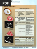 Adult TTE Echocardiography Protocol | PDF | Heart Valve | Echocardiography