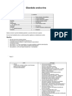  Glandele Endocrine