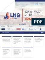 LNG Annual International Summit Brochure