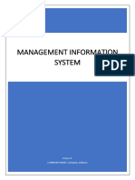 MANAGEMENT INFORMATION SYSTEM EVOLUTION