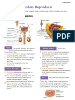 Sistem Reproduksi