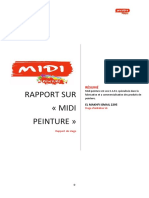 Rapport Les Peintures de Midi