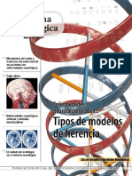 Enfermedades Tipos de Modelos