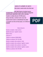 Indicaciones para El Cuidado El Perro