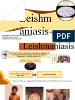 Presentación Parasitología Leishmaniasis