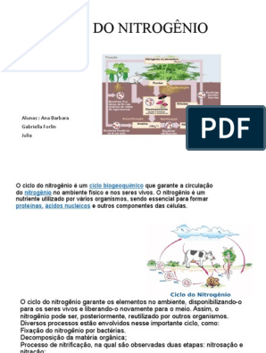 Ecologia, PDF, Nitrogênio