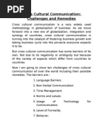 Download Barriers in Cross Cultural Communication by Nafizul Azim SN51737267 doc pdf