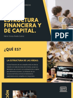 Estructura Financiera y de Capital