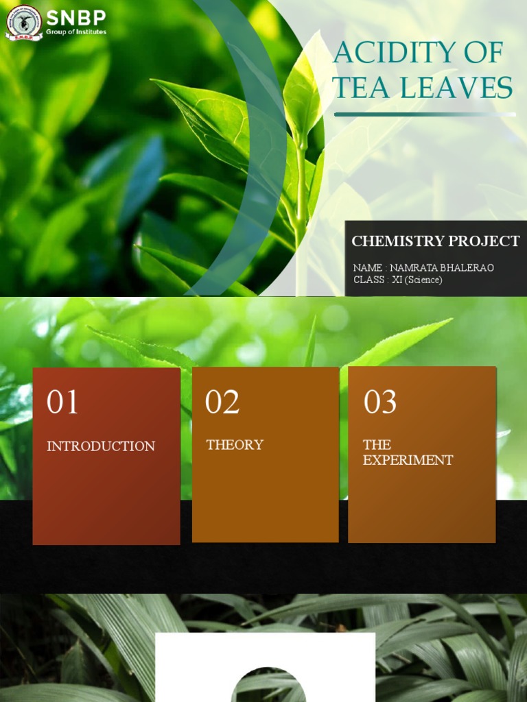 Acidity of Tea Leaves: Chemistry Project | PDF | Tea | Caffeine