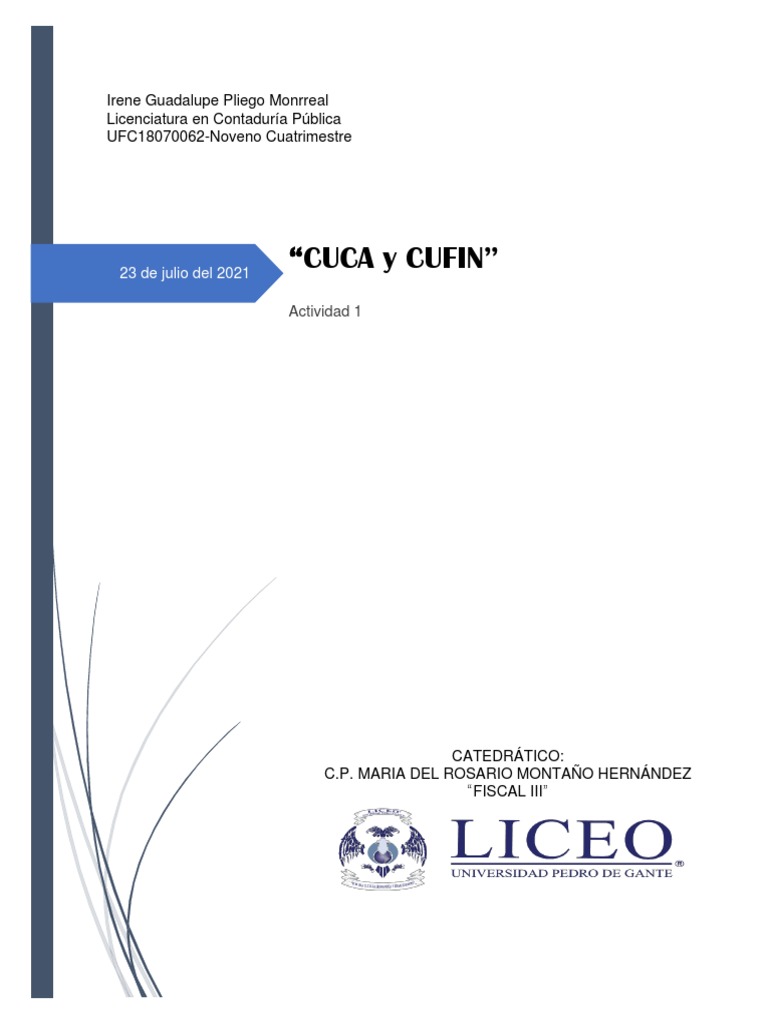 Actividad 1 - Cuca y Cufin | PDF | Impuesto sobre la renta | Dividendo