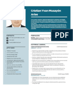 cv cristian pdf.docx