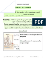 Geomorfolofia General