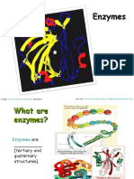 Enzymes Cell Biology Lecture PowerPoint VCBC