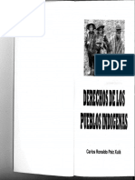 Libro de Pueblos Indigenas Editable