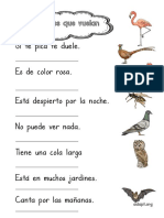 Animales Que Vuelan Comprensión Lectora Frases