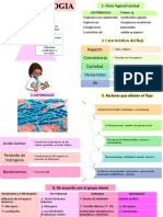 Vaginosis Bacteriana