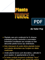 Plante Toxice