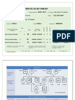 Estudio de Salud Familiar Simplificado