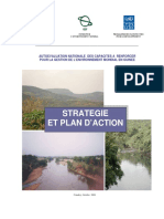 STRATEGIE ET PLAN D'ACTION-FAO