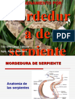 Atencion PH Mordedura de Serpiente