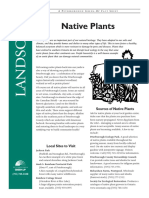 Importance of Native Plants