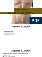 Clase Musculos Del Tronco LAT