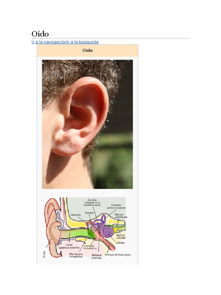 Tapón para los oídos - Wikipedia, la enciclopedia libre