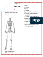ACTIVIDAD #2 (Sistema Oseo) 26 de Julio