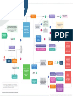 Flujograma - Protocolo Actuación