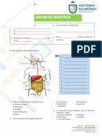 El Aparato Digestivo