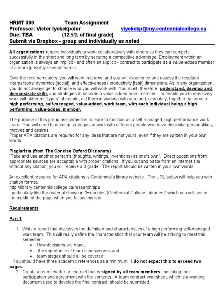 Team Charter and Assignment Guidelines | PDF | Libraries | Communication
