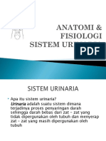 Fisiologi Sistem Urinaria