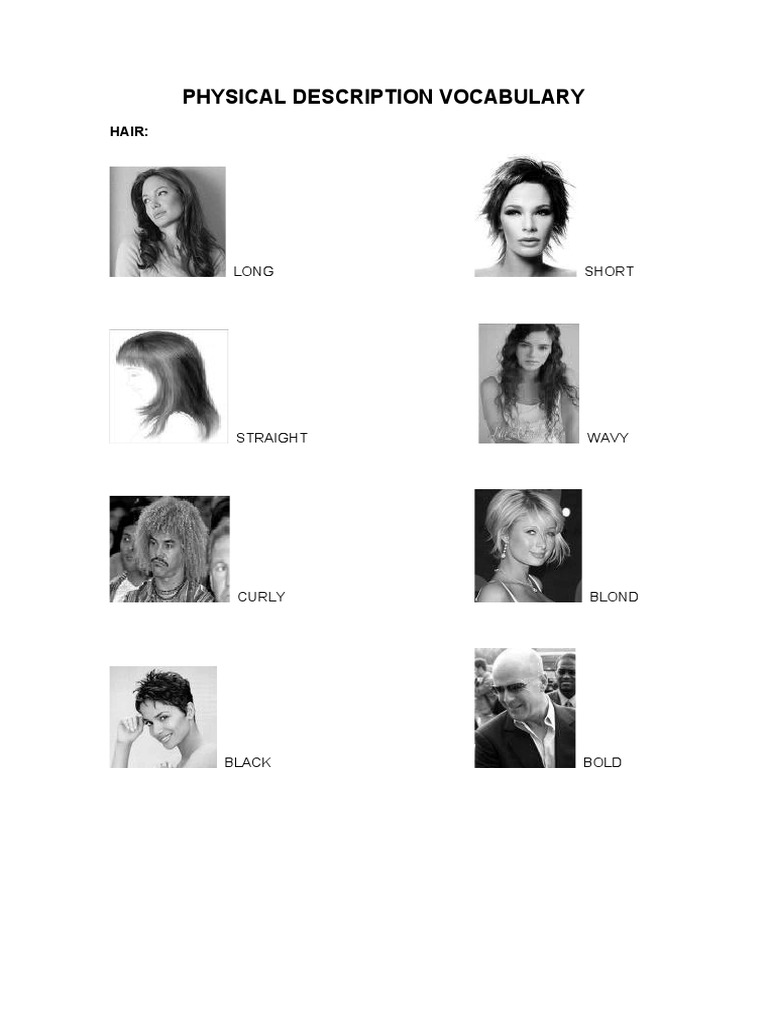 Physical Description Vocabulary Guide | PDF