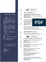 Curriculum Vitae