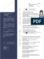 Curriculum Vitae