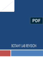 Botany Lab Revision