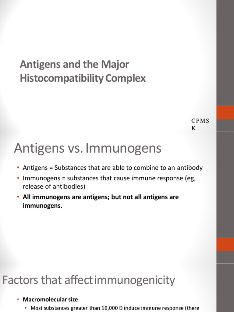 IS3 Antigens and The Major Complex PDF Antigen