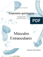 Anatomia QX MFM Final