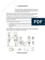 Mediciones del cuerpo humano