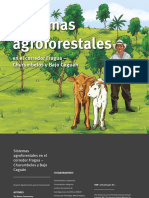 Fichas Modelos Agroforestales_alta