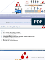AGILE PMPeople - Controlling - Agile - Projects