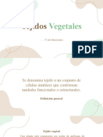 Clase 3 - Tejidos Vegetales