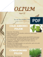 Folium 2