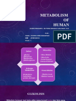 Metabolism BIOKIM 2 MEI TENGGAT