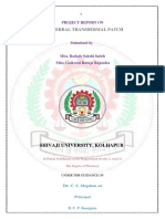 Polyherbal Transdermal Patch: Shivaji University, Kolhapur