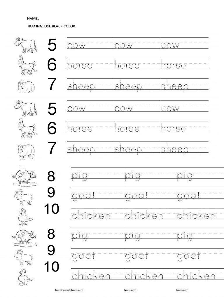 Homework Grade 1 | PDF