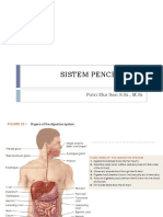 Sistem Pencernaan