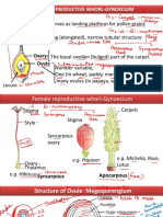 23 Nov A5 Life Cycle of Angiosperm - English